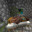 Zombie Lookin' At A Villager