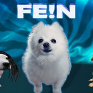 FE!N - steam id 76561198262753637