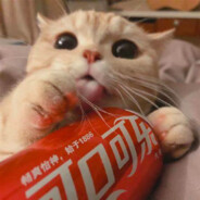 纱雾今天吃什么