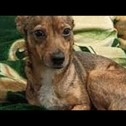 miśkaoficjalniepeek