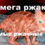 хайпер бист