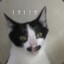 link041