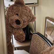 臣妾是乌拉呀哈氏！