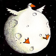 Moon Goose - steam id 76561197970355321