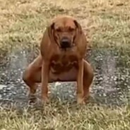 猛踹瘸子那条好腿