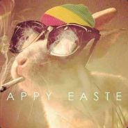 Stilishhaiyya <(^.^)>