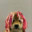lil dog