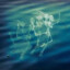 Skeletal Deep