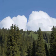 午夜犹豫纯情少妇