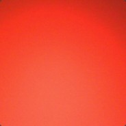 近月暴雷的礼仪