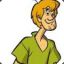 SHAGGY