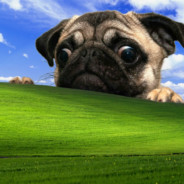 PUG avatar