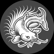 NPE - steam id 76561197960287230