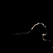 M̷O̷N̷S̷T̷E̷R̷ツ