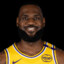LeBruzzJames