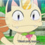 meowth900