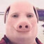 Johnathan Porktholamule