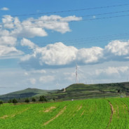 回到童年睡大觉