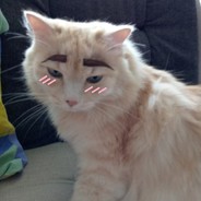 трухлявый гандон