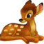 Bambi♥