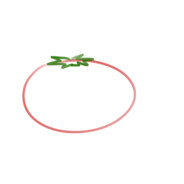 番茄狂热爱好者