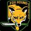 FoxHound