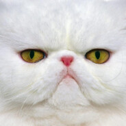 你想吃大巴掌吗？