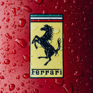 Tifosi