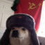 Comrade Doggo