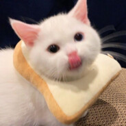 𝓒𝓸𝓬𝓪𝓒𝓸𝓵𝓪