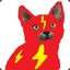 Cat Flash