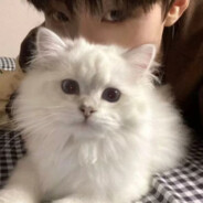 皇家水院车银优