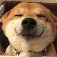 老友又笨又搞笑