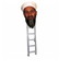 Osama Bin Ladder