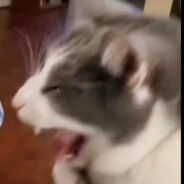 网卡了屏黑了驱动掉了