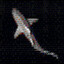 savunya's avatar