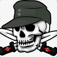 зига всем нашим