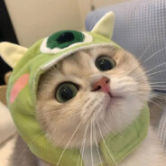 不要扒拉我