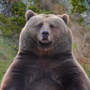 嘻嘻，我一定要活下去