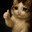 meow