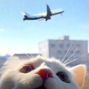 超级无敌酷炫海底小纵