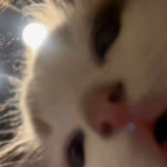 原神鸣潮崩铁66