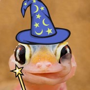 Lizard The Wizard