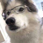 甜美微笑爆杀做题家