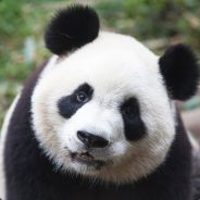 seeKay - steam id 76561197963173844