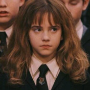 冷冰柠智取王世昌