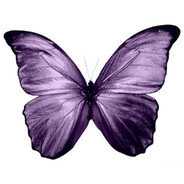 Altynkaa