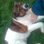 Stan