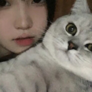 亿杆长枪破亿财