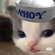 坏被小绒     随机神职